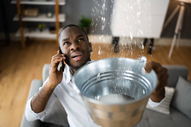 Best Water damage contractors near me  in Arlington, OH
