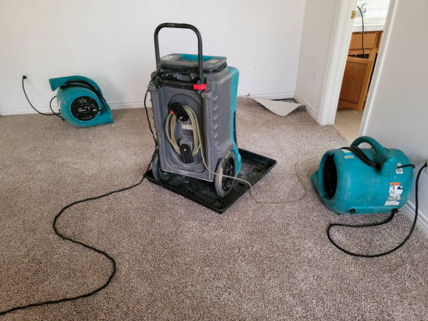 Best Flooded house restoration  in Arlington, OH
