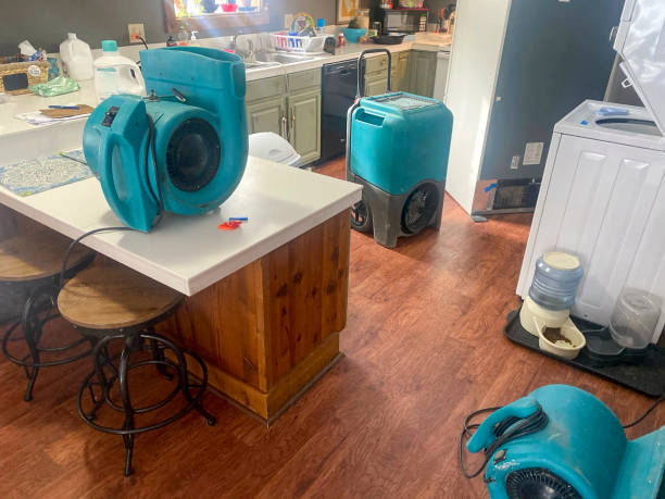 Best Ceiling water damage repair  in Arlington, OH