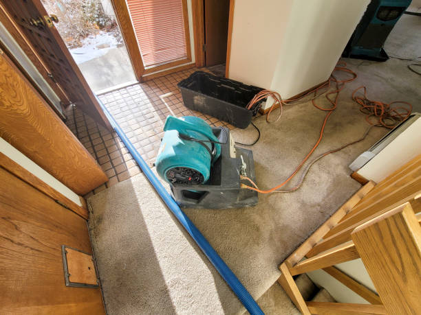 Best Emergency water damage restoration  in Arlington, OH