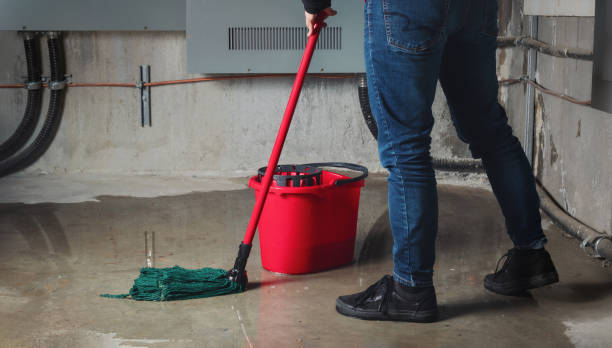 Best Local water damage restoration  in Arlington, OH