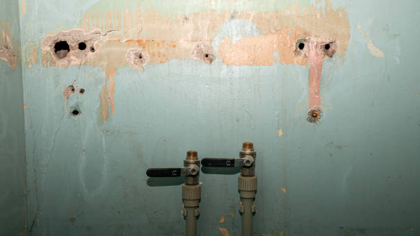 Best Flood restoration services  in Arlington, OH