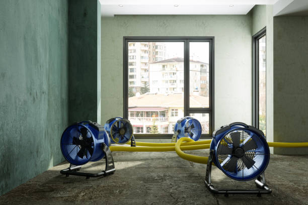 Local water damage restoration in OH